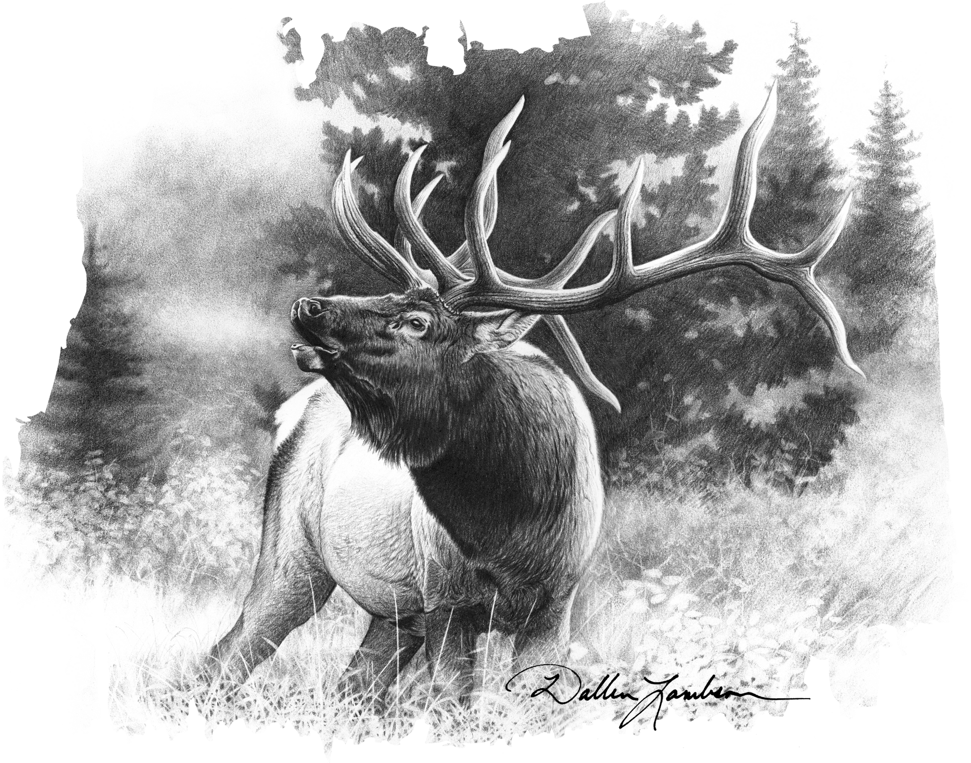 Dallen Lambson Collection – Elk Bugle Boy - American Built USA