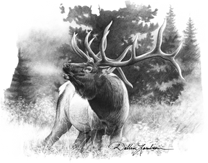 Dallen Lambson Collection – Elk Bugle Boy - American Built USA