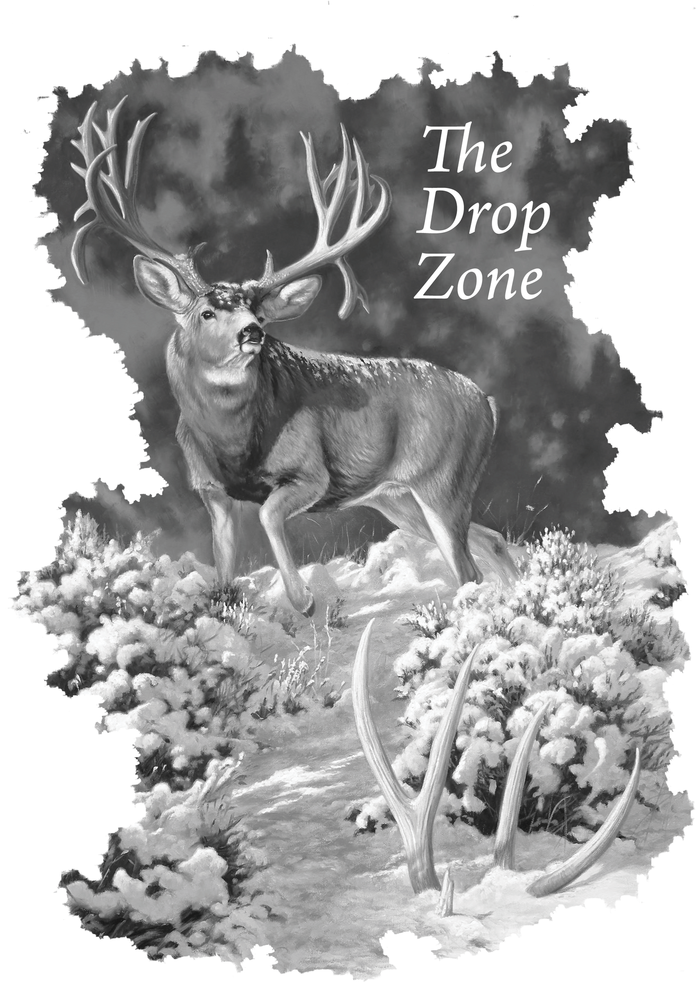 Dallen Lambson Collection – The Drop Zone