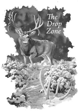 Dallen Lambson Collection – The Drop Zone | T-Shirts & Long Sleeves | Made in USA