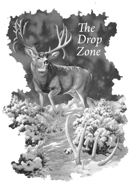 Dallen Lambson Collection – The Drop Zone